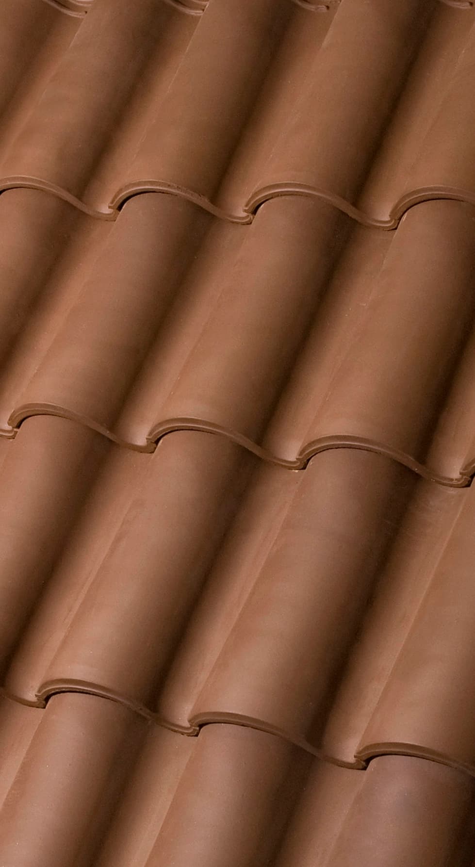 Duna Brown(BMI COBERT-SPAIN)