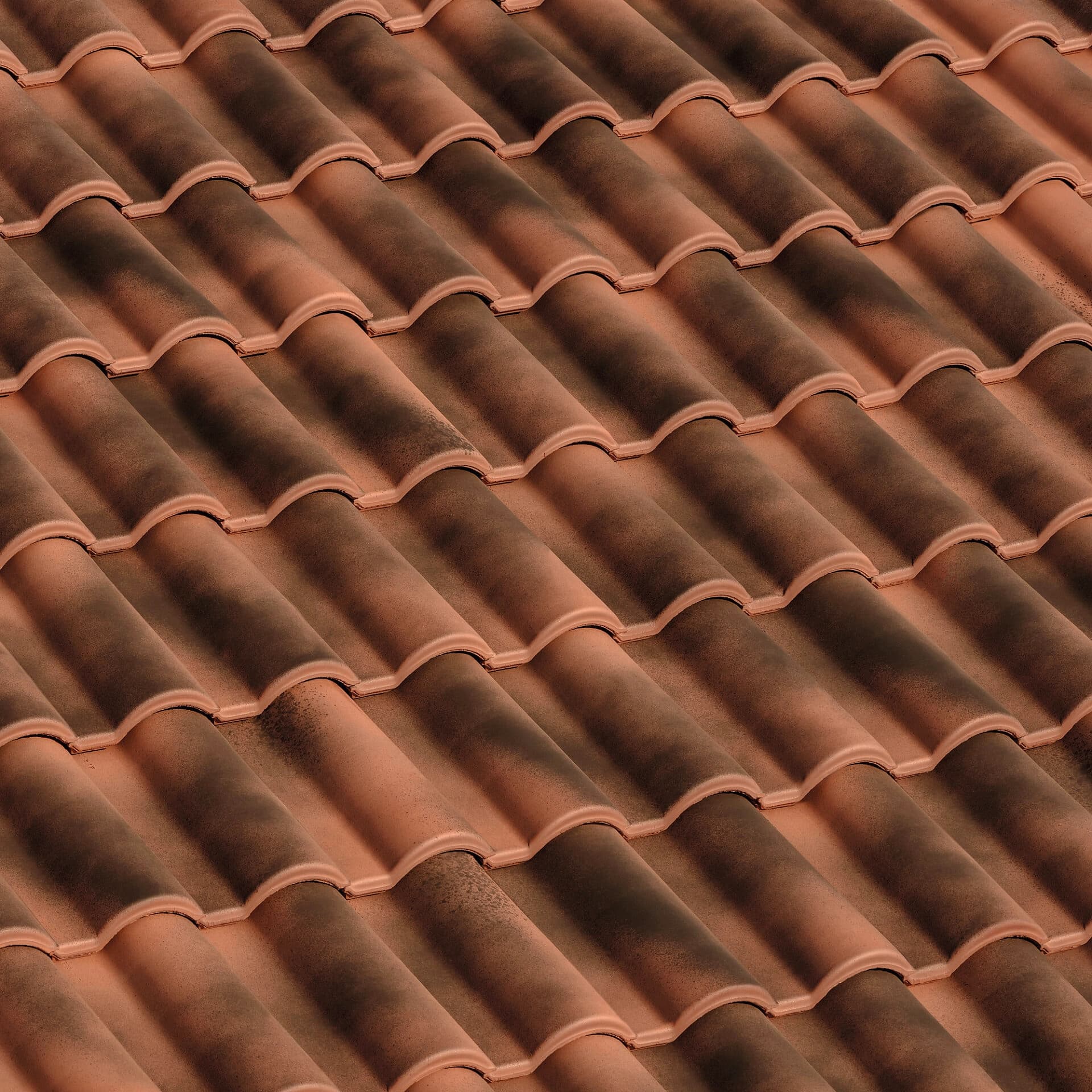 Flexa Antica (BMI BRAAS)