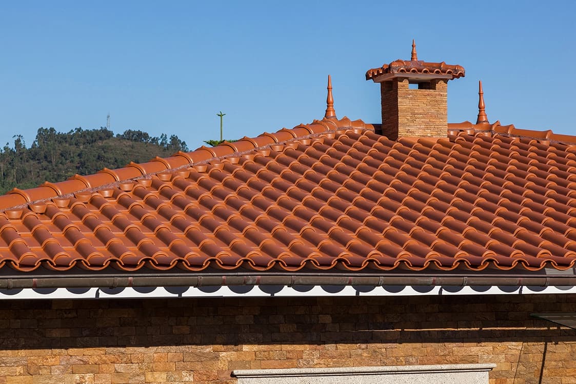 Logica Lusa Camel ( BMI COBERT-PORTUGAL )