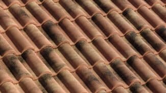 VECCIA ETRURIA (BIM)